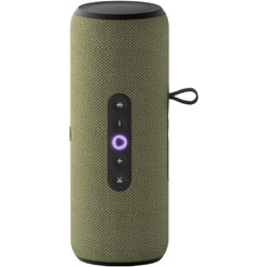 Портативная Умная колонка Яндекс.Станция Стрит YNDX-00030GRN (зеленый)