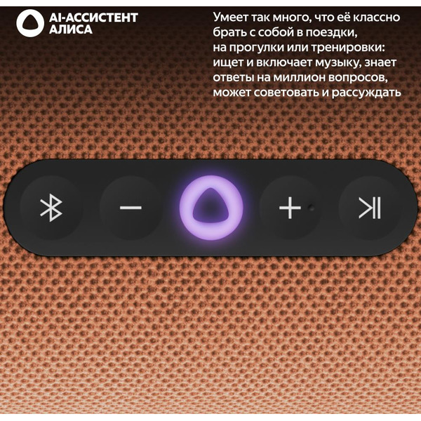 Портативная Умная колонка Яндекс.Станция Стрит YNDX-00030ORG (оранжевый)