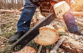 Как выбрать бензопилу