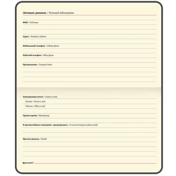 Еженедельник недатированный BRAUBERG Iguana 114479