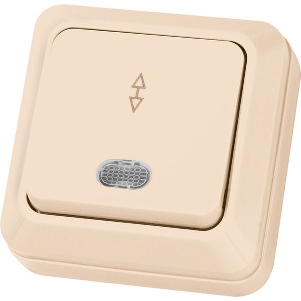 Переключатель TDM Electric Ладога SQ1801-0012 (слоновая кость)