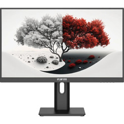 Монитор RDW Computers 2401K/F00B3100V2A1H
