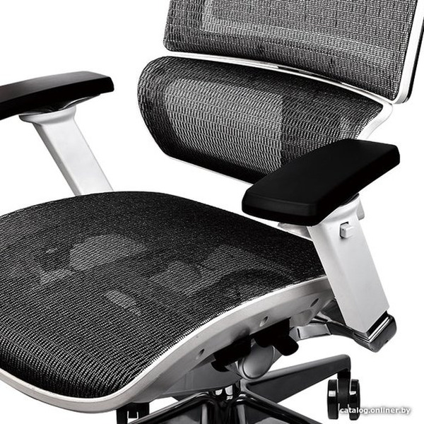 Офисное кресло Thermaltake CyberChair E500 GGC-EG5-BWLFDM-01 (серый)