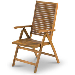 Кресло Fieldmann FDZN 4101-T