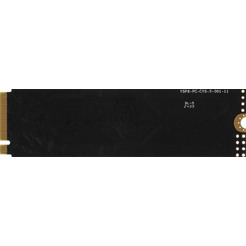 Накопитель SSD AMD R3MP30256G8