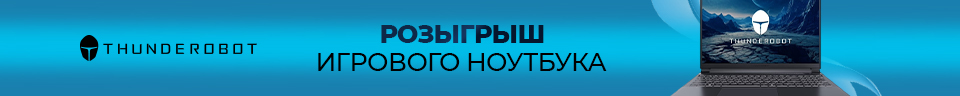 Игровой ноутбук Thunderobot 911X Wild Hunter G3 Evo