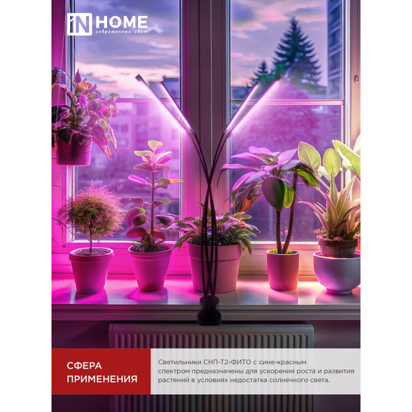 Светильник настольный на прищепке светодиодный IN HOME СНП-Т2-ФИТО 4П40 (4690612053554)