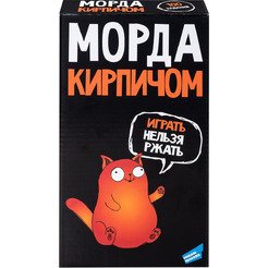 Настольная игра Dream Makers Морда кирпичом 16+ 2518C