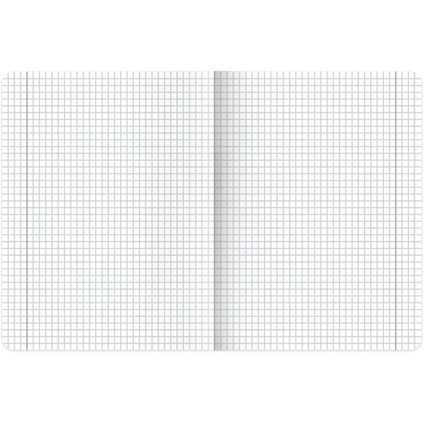 Тетради предметные BRAUBERG 405181 (КОМПЛЕКТ 12 ПРЕДМЕТОВ, 48л, SoftTouch)