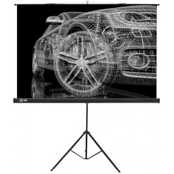 Экран CACTUS Triscreen CS-PST-124x221