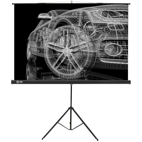 Экран CACTUS Triscreen CS-PST-124x221