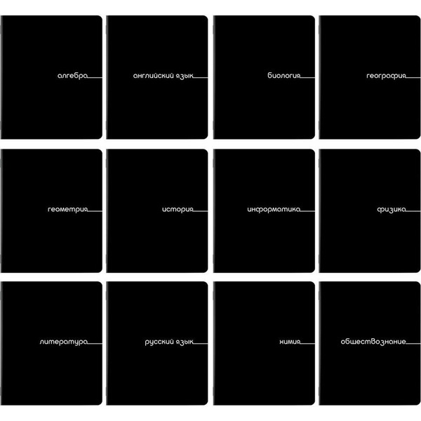 Тетради предметные BRAUBERG 405164 (КОМПЛЕКТ 12 ПРЕДМЕТОВ, 48л, обложка картон)