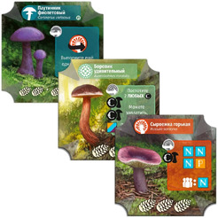 Настольная игра Hobby World Грибы и корни 952039