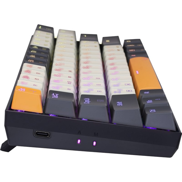 Клавиатура Redragon Caraxes Pro (71554)