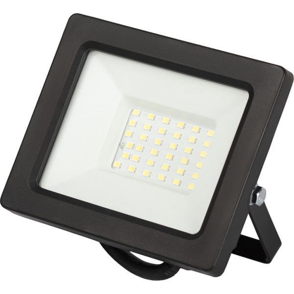 Уличный прожектор ЭРА LPR-042-3-65K-030