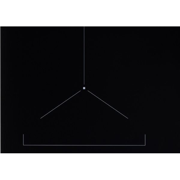 Варочная панель VARD VHI6461K