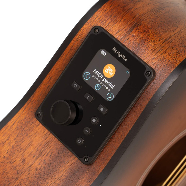 Гитара акустическая Cort Earth-GO-OPBB