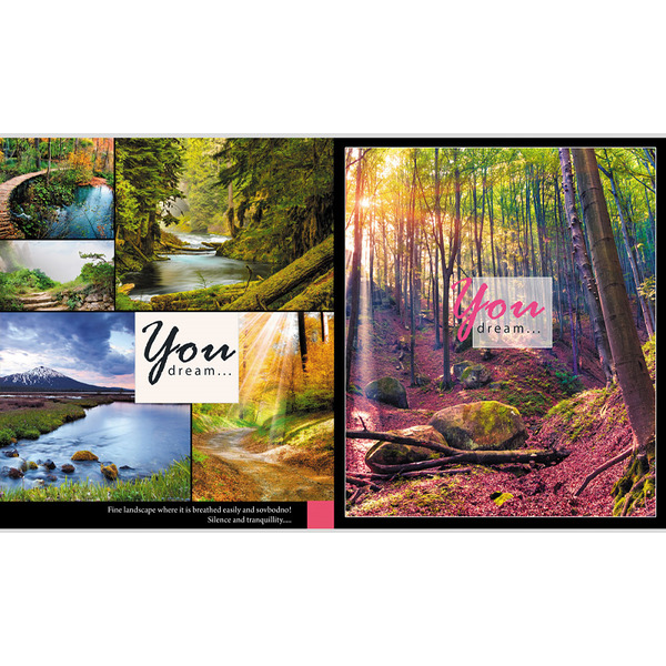 Тетрадь 96 л "Пейзаж из мечты", клетка, А5 (перевертыш) (Проф-Пресс) арт. 96-0158