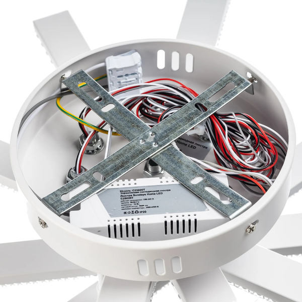 Люстра Sundays Home LED C25020T