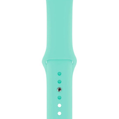 Ремешок Bingo для APPLE Watch Мята