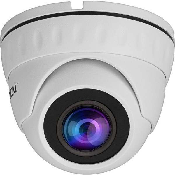 IP-камера Ginzzu HID-2032S