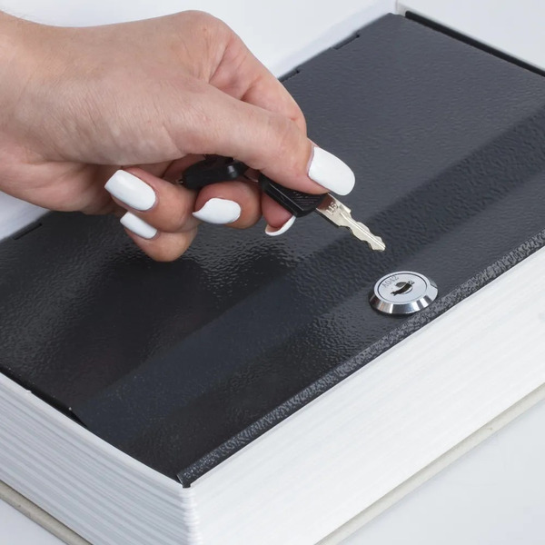 Сейф-книга BRAUBERG Финансист