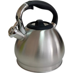 Чайник со свистком Astiat AST-1072