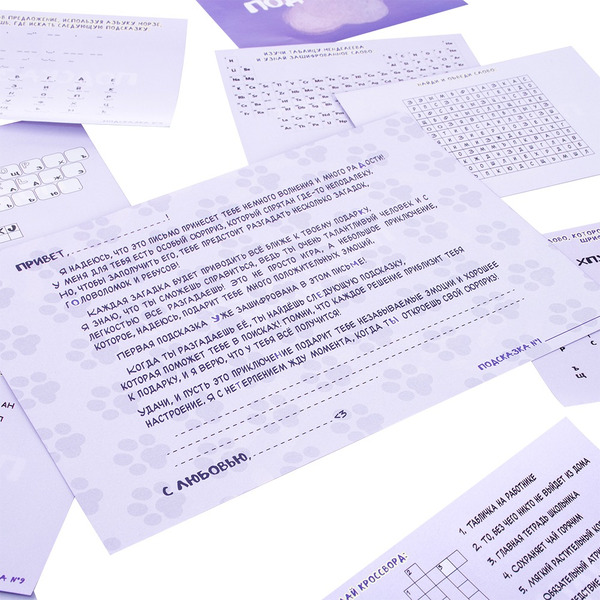 Игра-квест по поиску подарка DREAM MAKERS Моей половинке 2418C