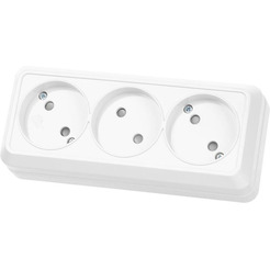 Розетка TDM Ладога SQ1801-0125 (белый)