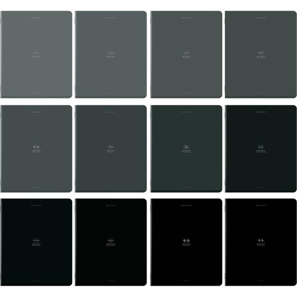 Тетради предметные BRAUBERG 405181 (КОМПЛЕКТ 12 ПРЕДМЕТОВ, 48л, SoftTouch)