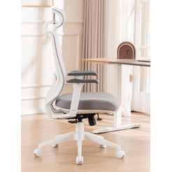 Кресло компьютерное EVOLUTION HybridFlex (белый)