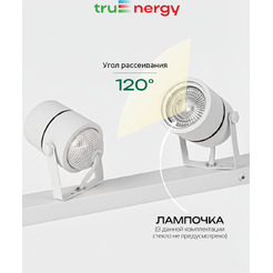 Светильник под лампу TRUENERGY FOCUS 21467