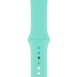Ремешок Bingo для APPLE Watch Мята