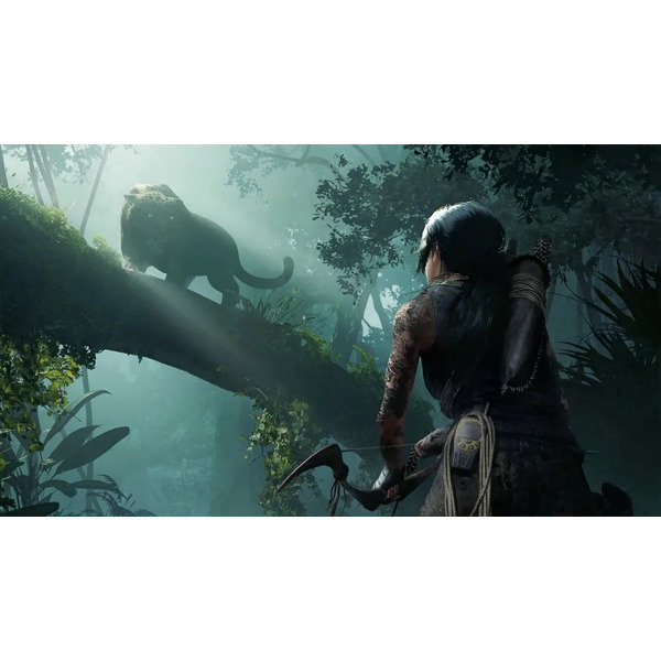 Игра Shadow of the Tomb Raider Definitive Edition для PlayStation 4