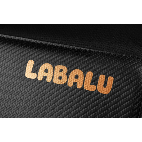 Детская прогулочная коляска Labalu Dream D9 (черный)