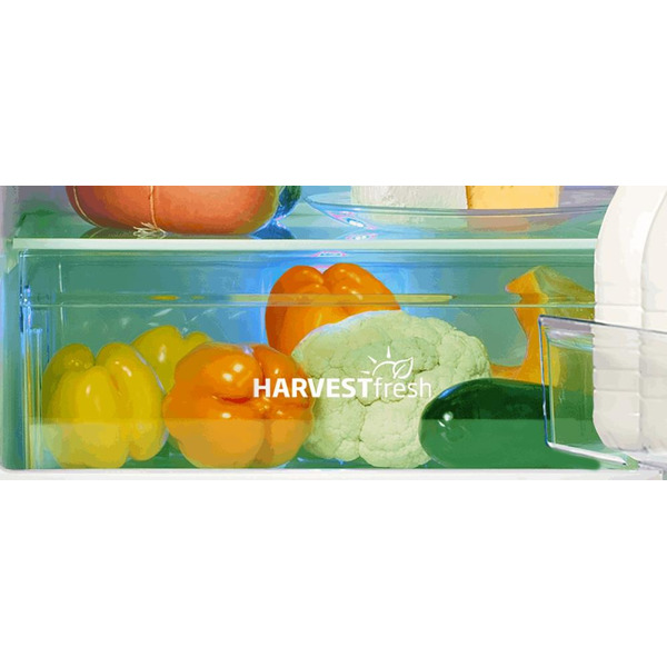 Холодильник Beko RCNK310E20VS