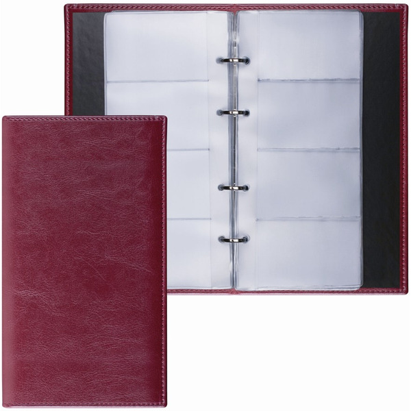 Визитница на кольцах на 240 визиток BRAUBERG 231665