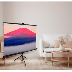 Экран CACTUS TriExpert 150x200 CS-PSTE-200X150-BK