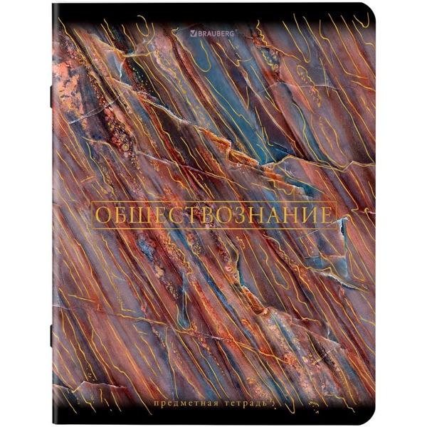 Тетради предметные BRAUBERG 404326 (КОМПЛЕКТ 12 ПРЕДМЕТОВ, 48л, SoftTouch, фольга)