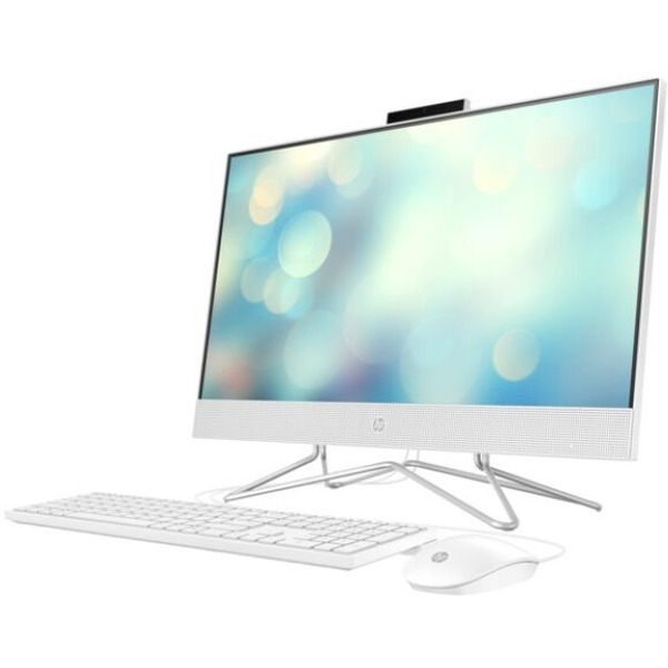 Моноблок HP 24-df1036ny (488J4EA)