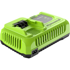 Зарядное устройство Greenworks G24C8 2958707 (24В)