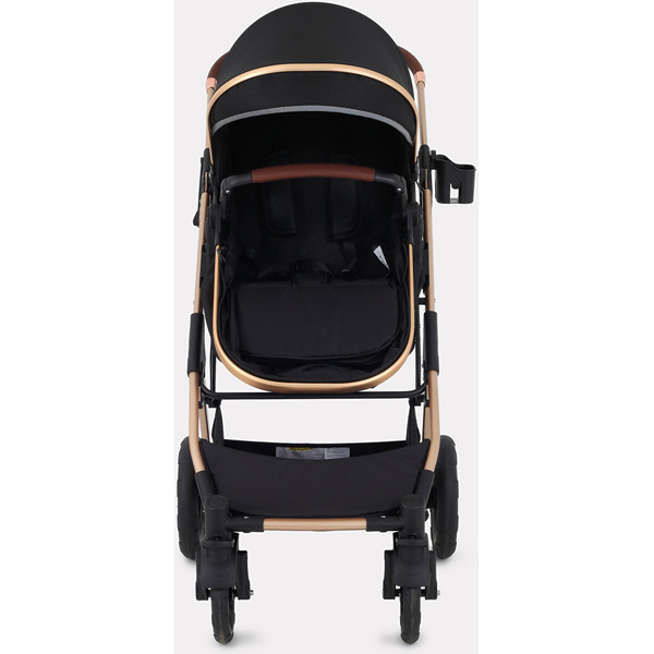 Детская универсальная коляска Rant Basic Pulsar Gold 2 в 1 RA160 (черный)