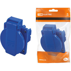 Розетка TDM Electric SQ0606-0001