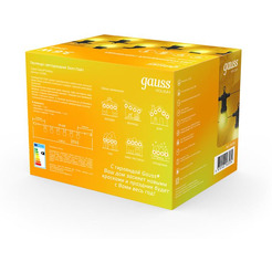 Гирлянда светодиодная Gauss Holiday Белт Лайт HL065