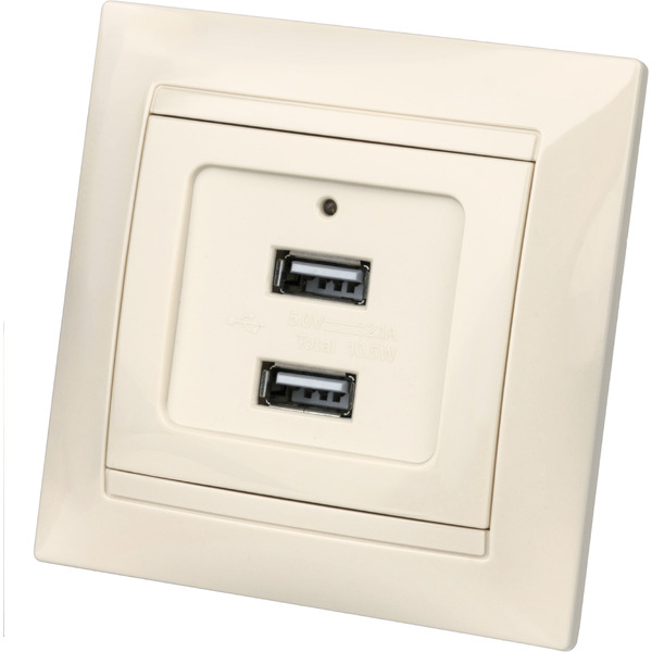 Розетка TDM Лайма SQ1815-0141