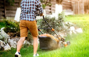 Как выбрать газонокосилку