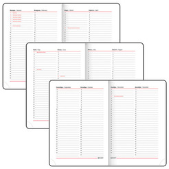 Ежедневник BRAUBERG недатированный Magnetic X 113281 (красный)