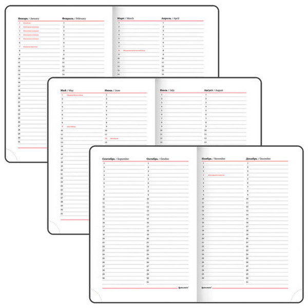 Ежедневник BRAUBERG недатированный Magnetic X 113281 (красный)