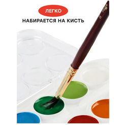 Акварельные краски Гамма Мультики 211046_12 (12 цв)