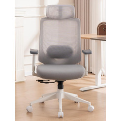 Кресло компьютерное EVOLUTION HybridFlex (белый)